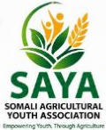 SAYA official logo